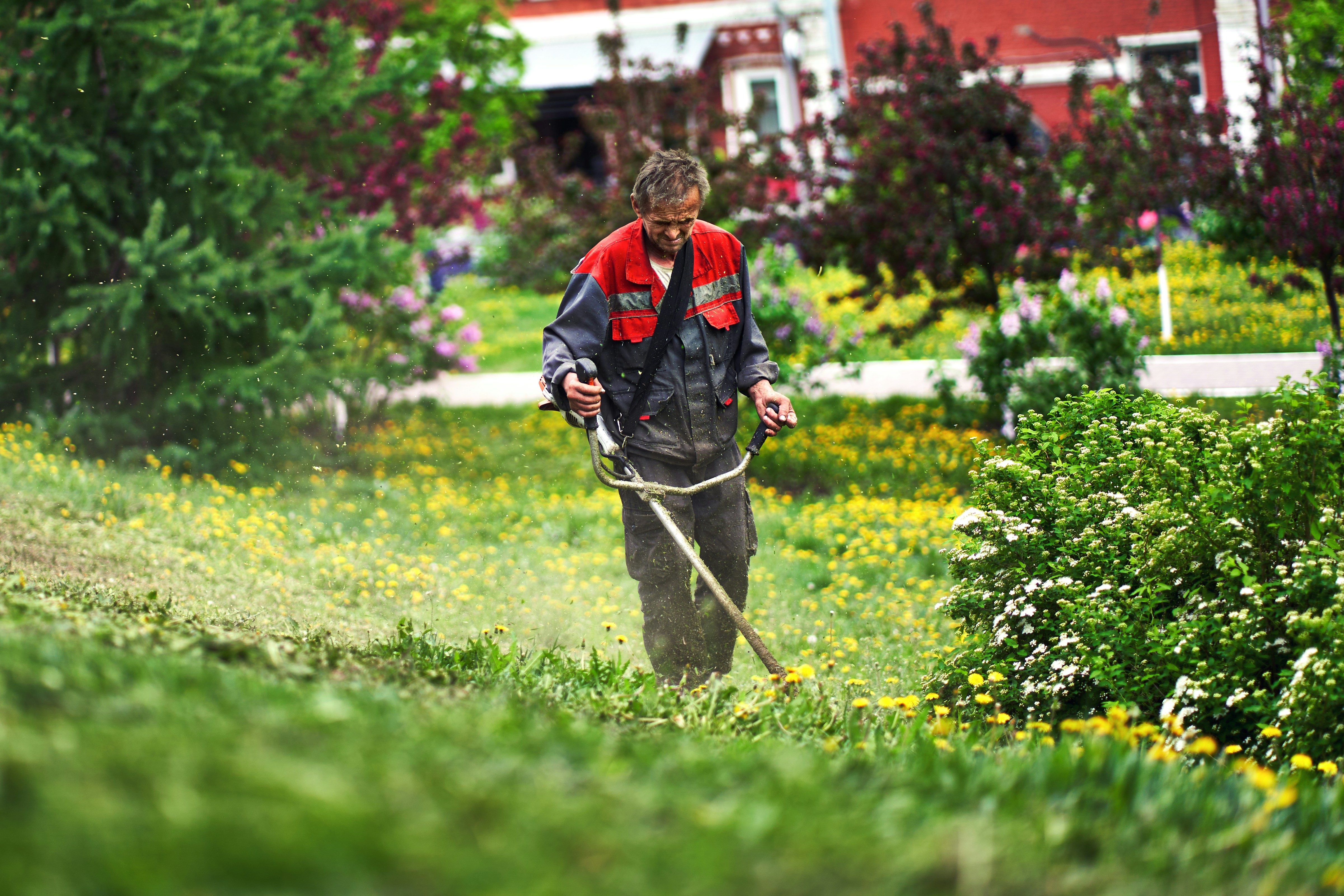 Landscaping work being performed outdoors.