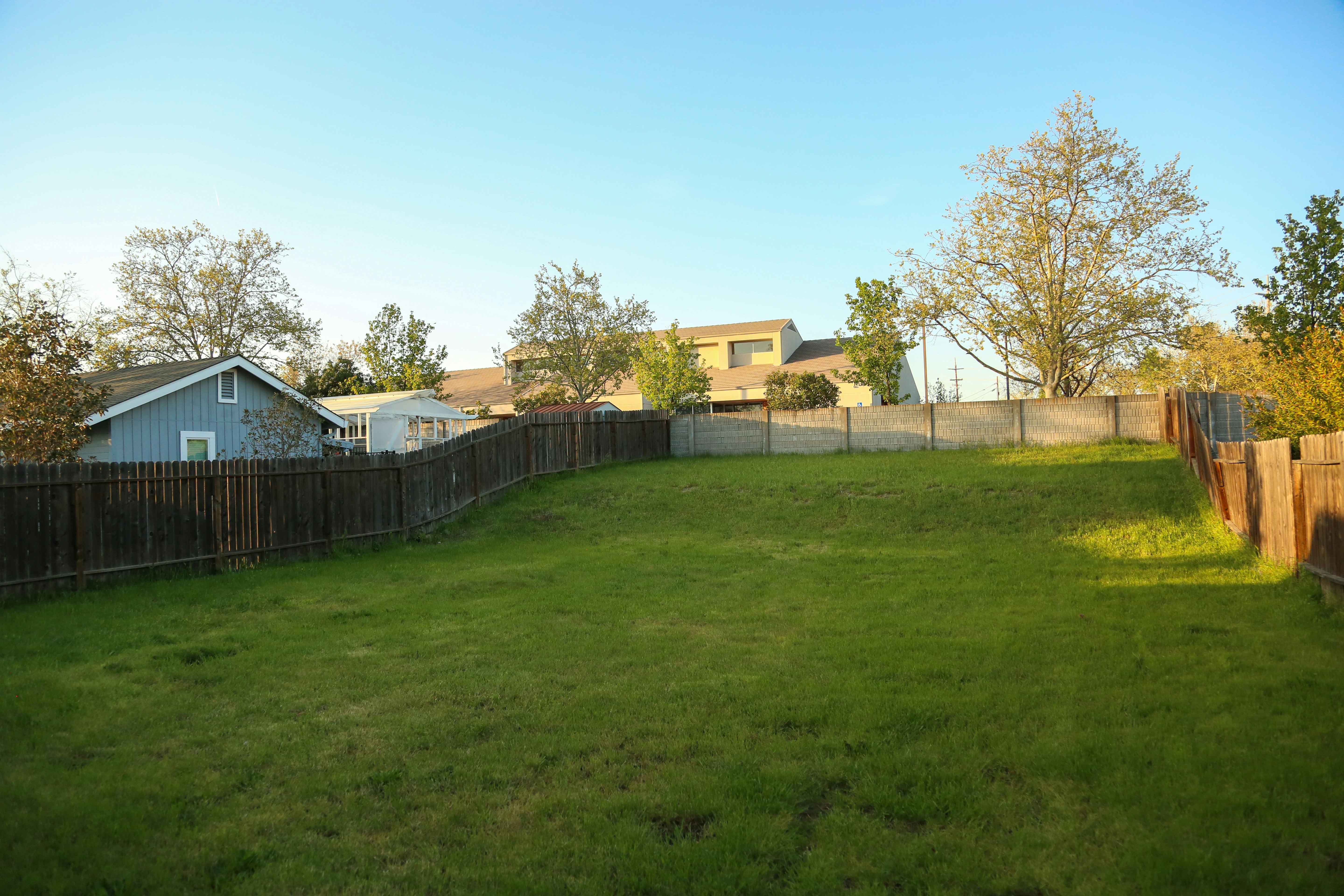 A clean lawn and backyard.